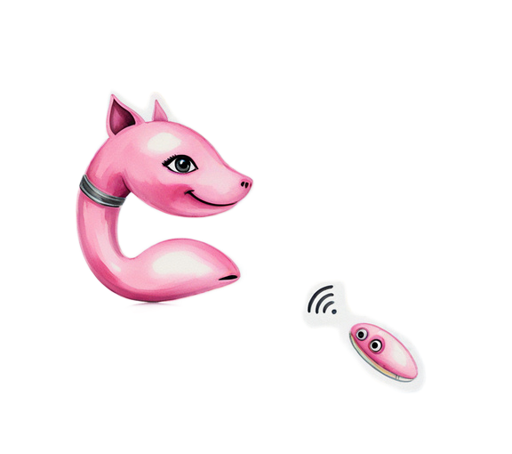 Prince Fox™