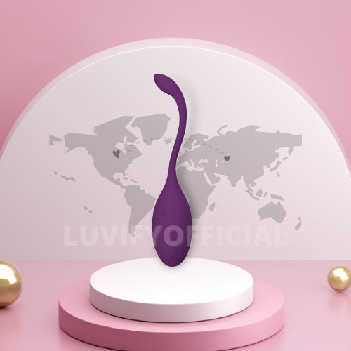 remote control vibrator